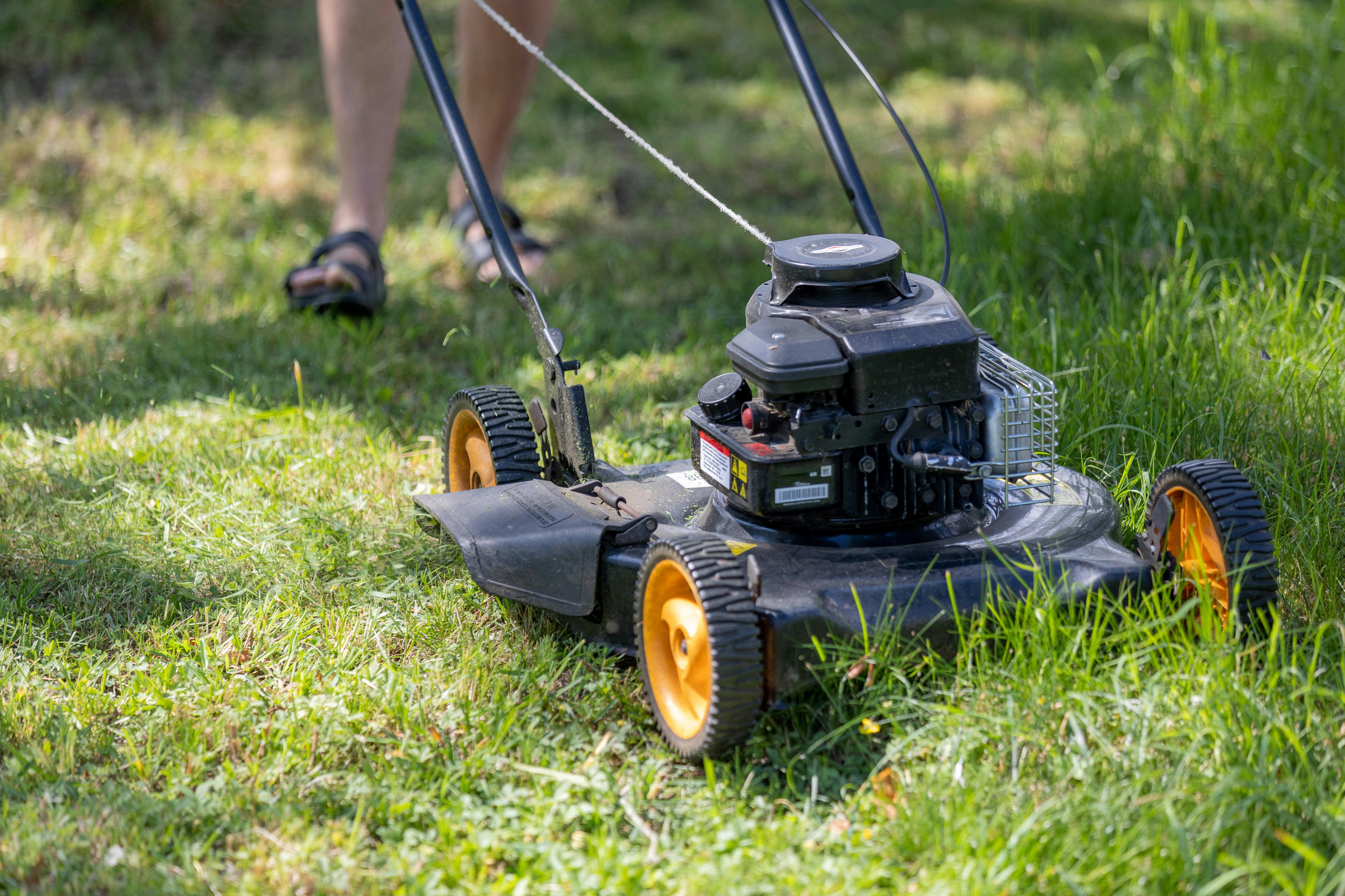 Grassklipper